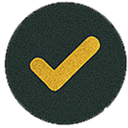 Efficient icon – check (yellow)
